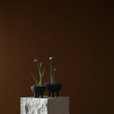 Duck Bowl Big - Coffee