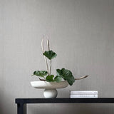 Baburu Bowl  Big Birch