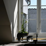 Wing Bowl Big Coffee