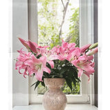 Vase Boolp Pınk