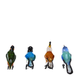Glass Paradıse Bırds Set