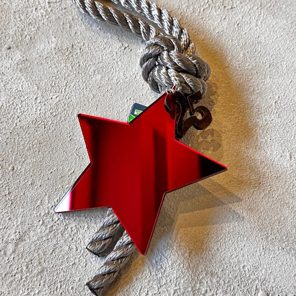 Ioanna M Kırmızı Yıldız Süs