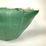 Bowl Corteccia D25 H15 Green