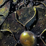 Naga Lotus Leaf Round Green&Brown