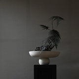 Baburu Bowl  Big Birch