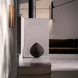 Domingos Tótora-Vaso Carbono 8G