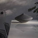 Seixo Disco Pequeno Preto Con Textura