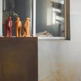 The Visitor Heykel -Yellow Acafrao Clear