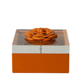 RIVIERE Deri Kutu - M