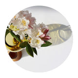 Matisse 1 Stacking Vessel - Olive