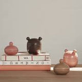 Saga Bonbonniere - High Coral